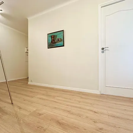 3p Refurbished Palm 200 M From The Beaches Cannes