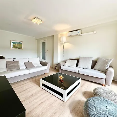 Lejlighed 3p Refurbished Palm 200 M From The Beaches Cannes